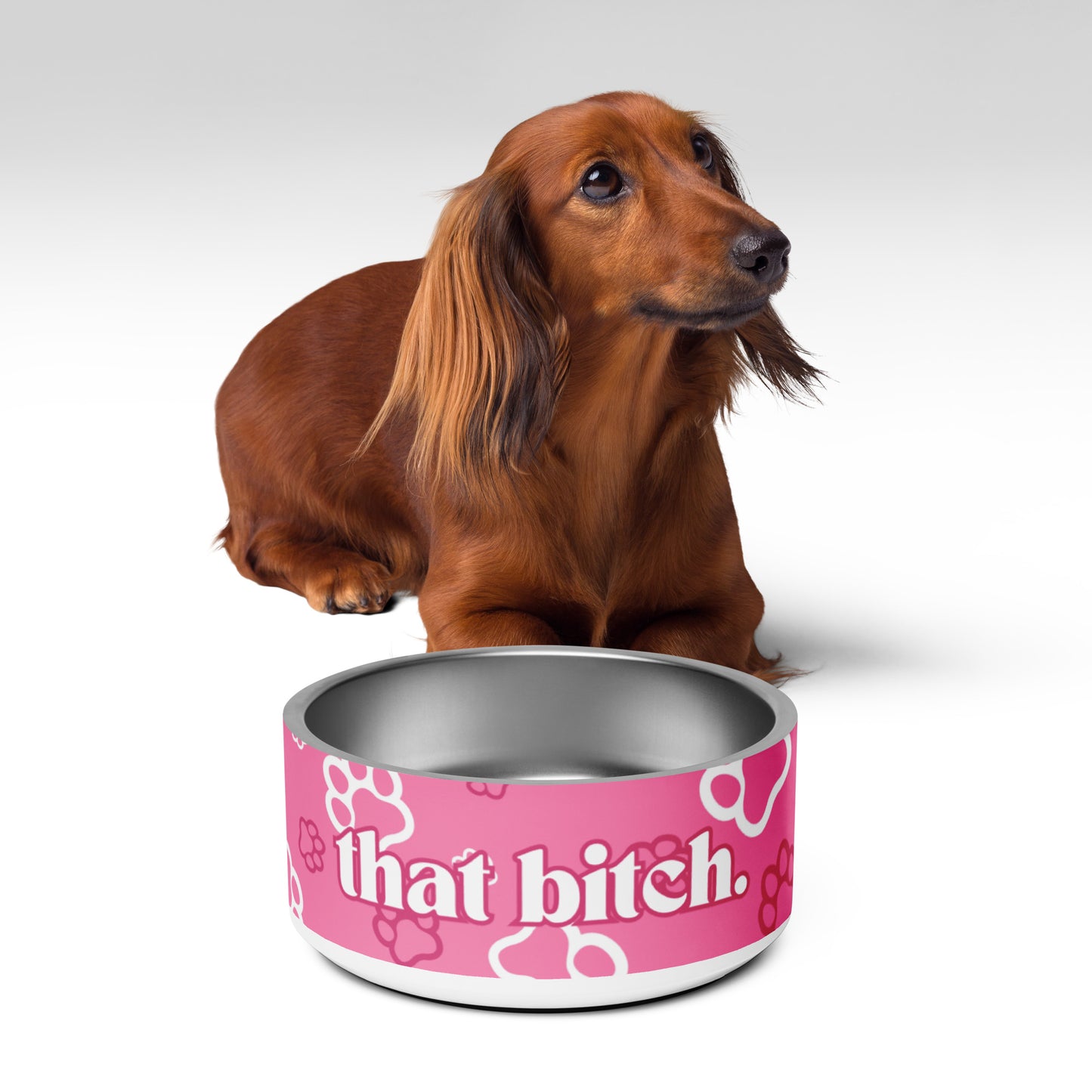 that bitch pet bowl