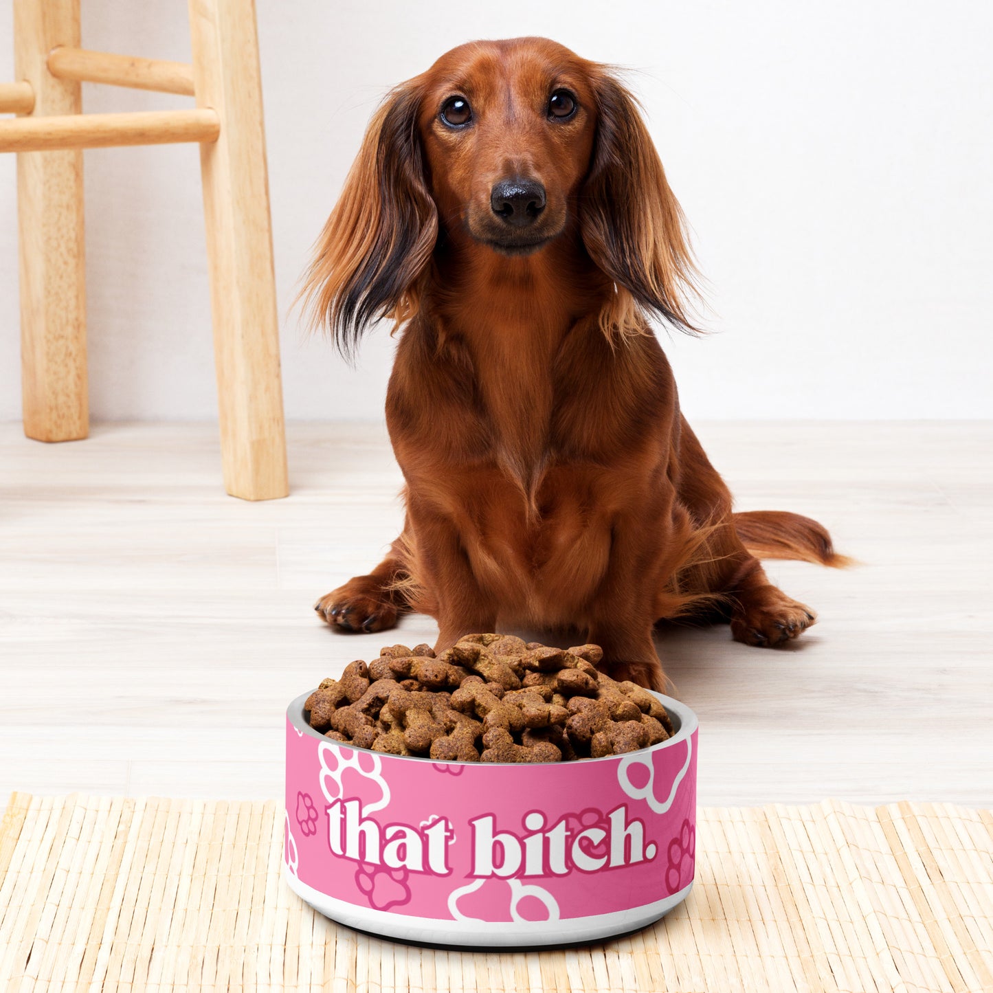 that bitch pet bowl