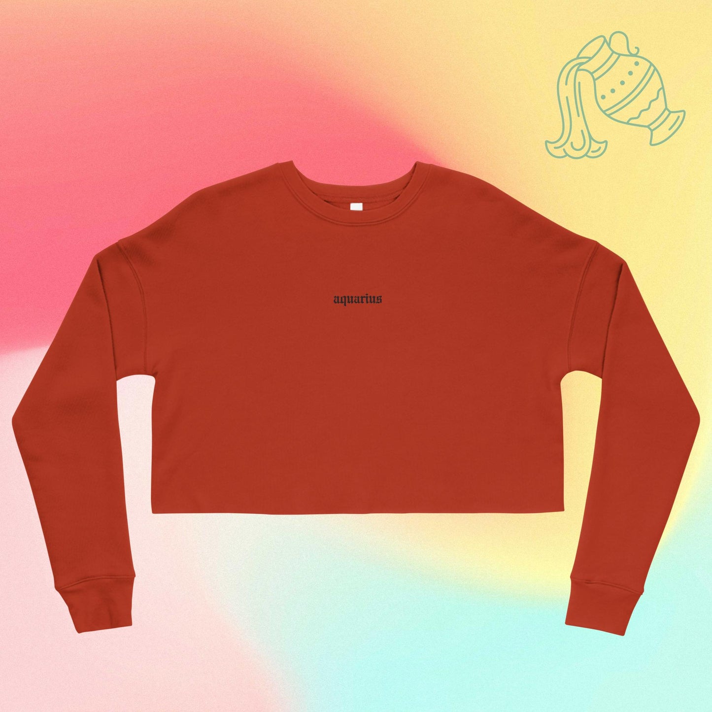 aquarius embroidered + cropped sweatshirt