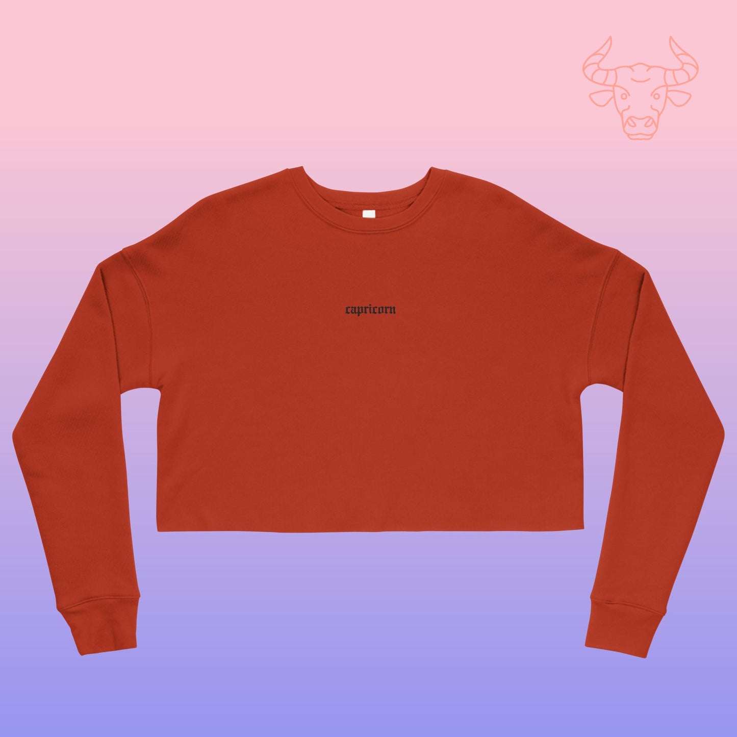 capricorn embroidered + cropped sweatshirt