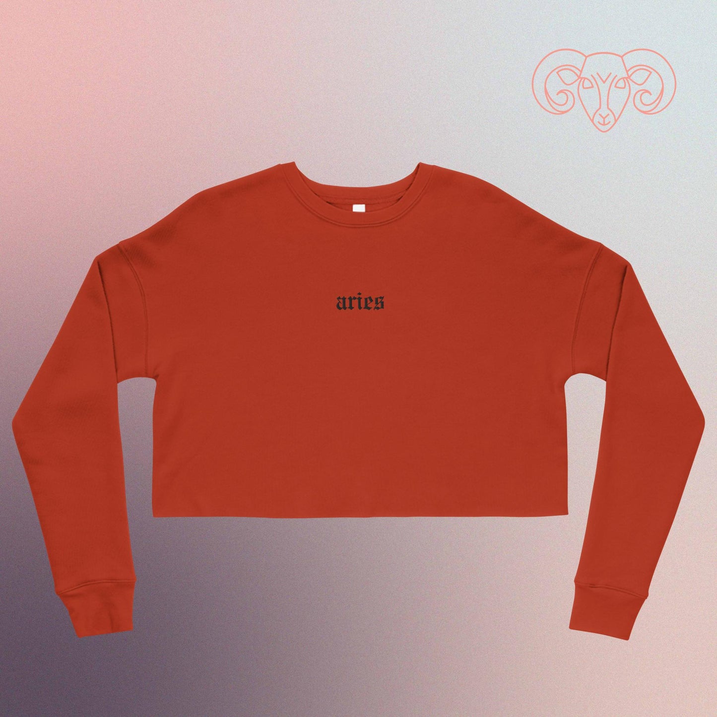 aries embroidered + cropped sweatshirt