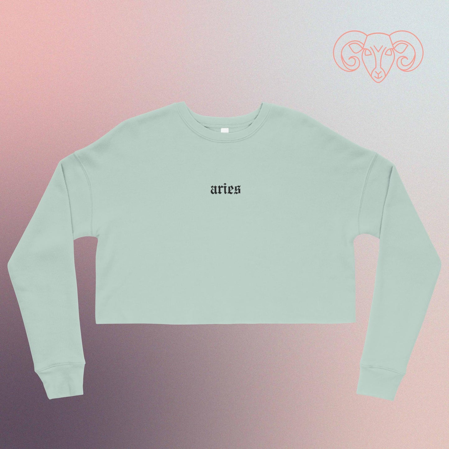 aries embroidered + cropped sweatshirt