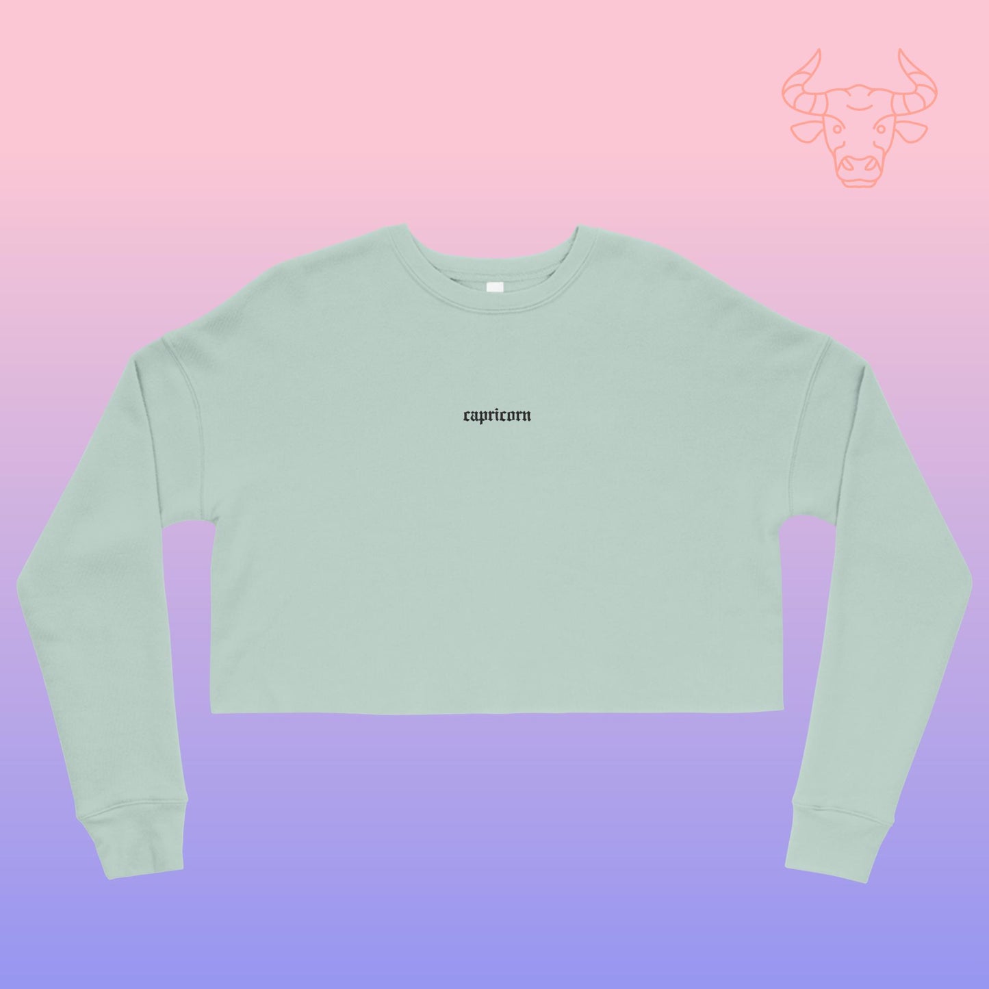 capricorn embroidered + cropped sweatshirt